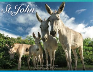 St. John 2025 Wall Calendar (Simonsen)