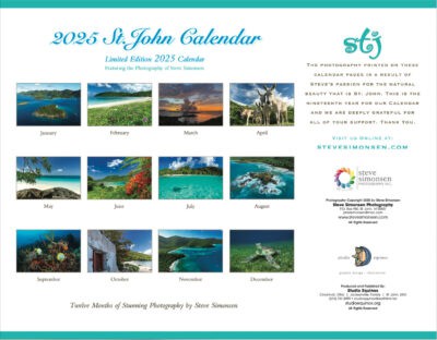 St. John 2025 Wall Calendar (Simonsen) - Image 2